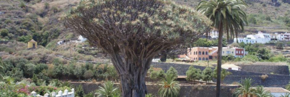 Appartement Stunning Views At Tenerife
